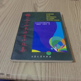 杨氏父子山东快书小段集