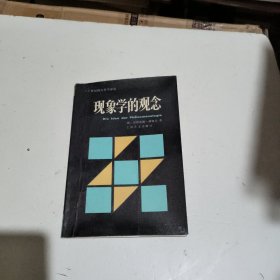 现象学的观念