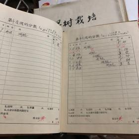 1955年 宁都中学 学生成绩册