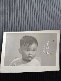 1970年代《老照片》一岁的小涛