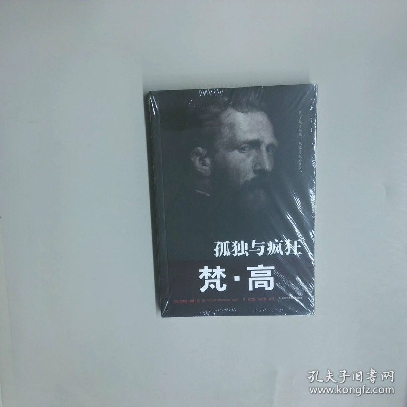 传世励志经典 孤独与疯狂梵 高