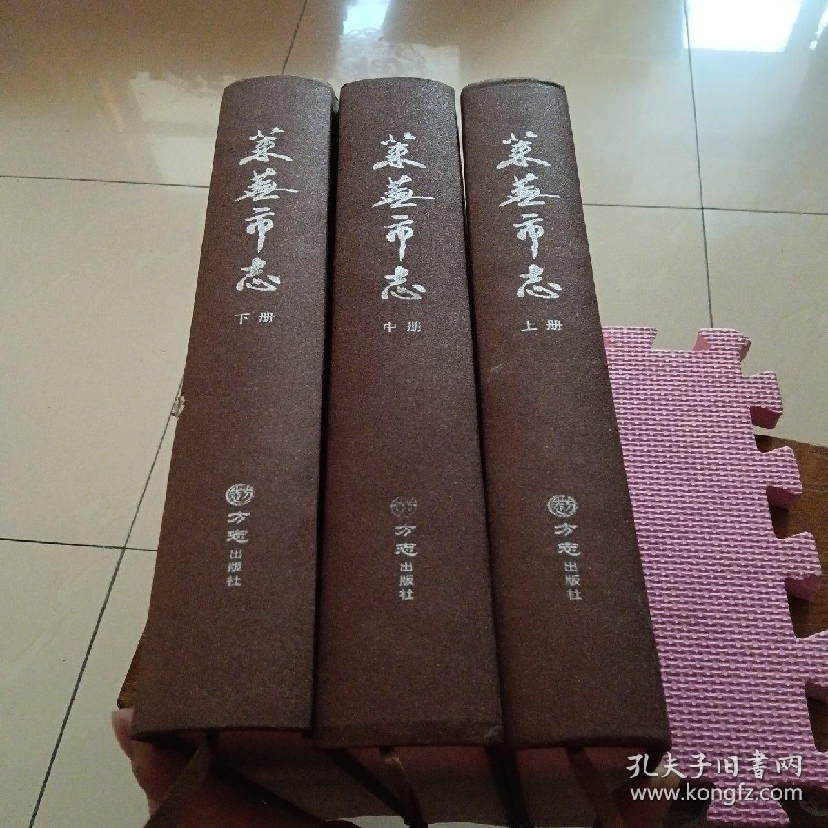 莱芜市志（上中下）全三册