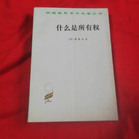 汉译世界学术名著丛书：什么是所有权