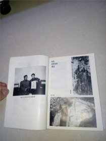 高道陈抟 （32开本，四川大学出版社，93年一版一印刷） 最后一页有残破。扉页有孔洞。内页干净。