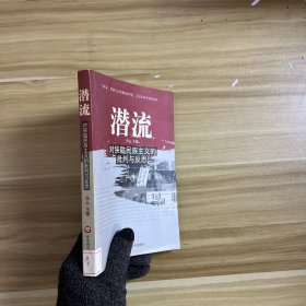 潜流：对狭隘民族主义的批判与反思