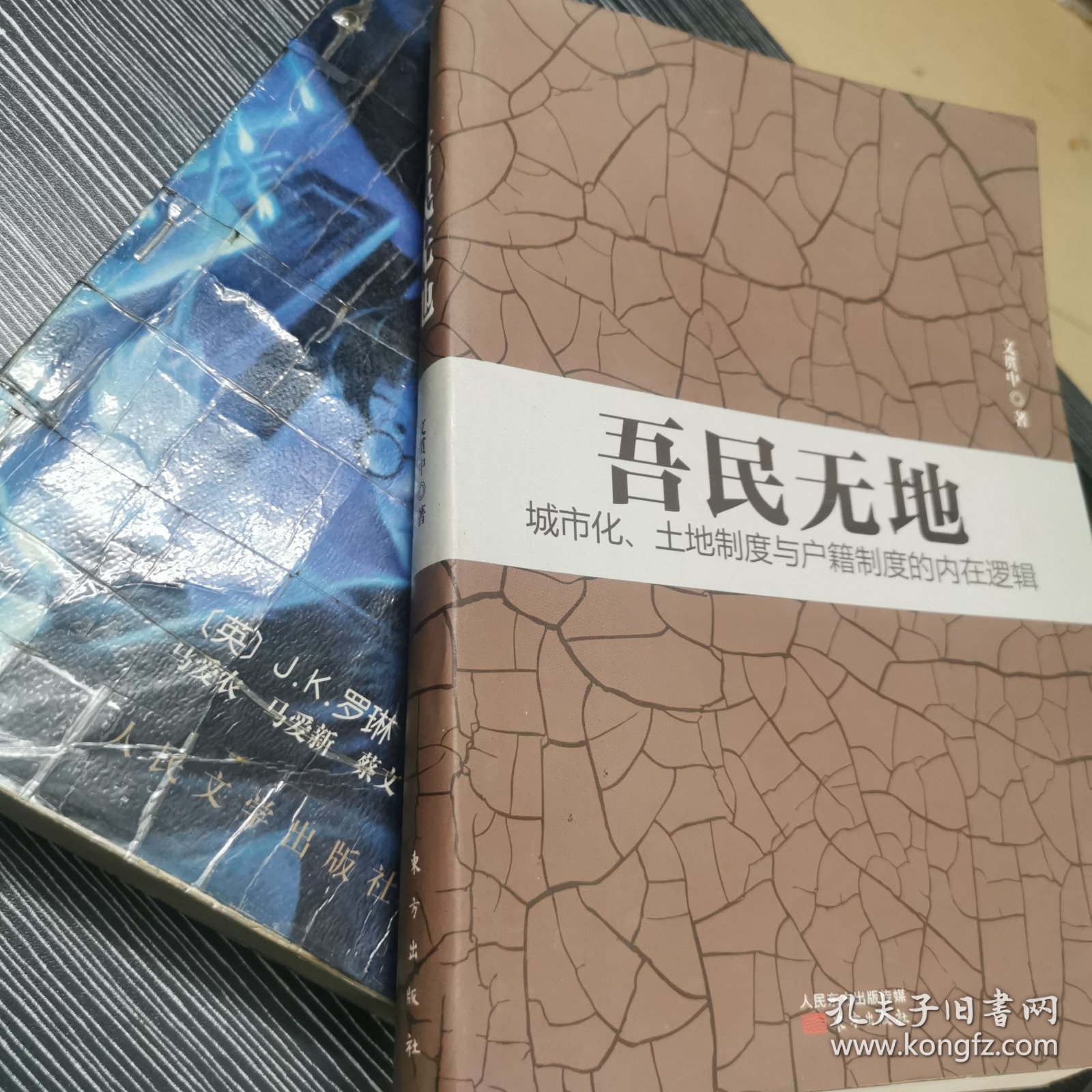 吾民无地：城市化、土地制度与户籍制度的内在逻辑