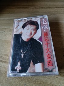 毛宁难忘十大金曲