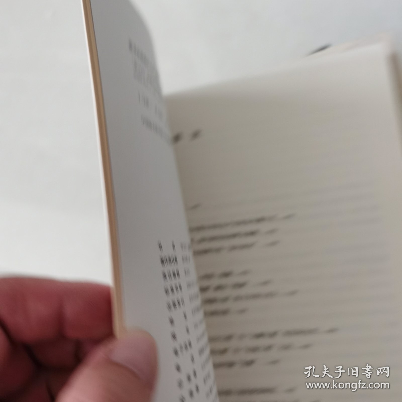 “新文化”的崛起与流播