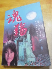 长篇小说 魂殇