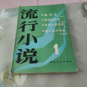 流行小说