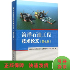 海洋石油工程技术论文（第七集）