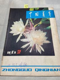 中国青年 1981 2