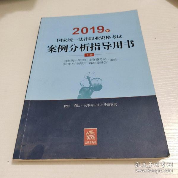 司法考试2019 2019年国家统一法律职业资格考试案例分析指导用书（全2册）