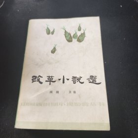 改革小说选