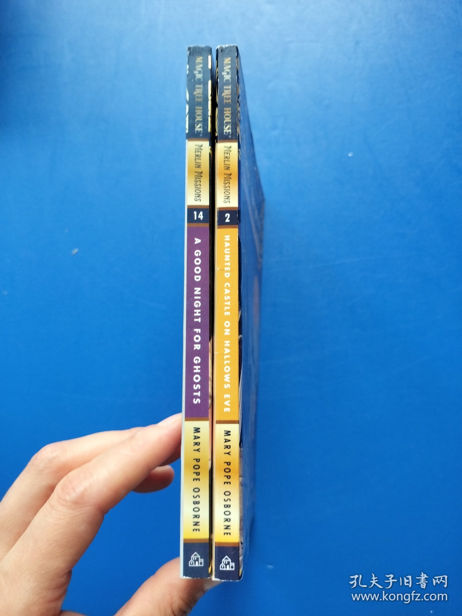 Haunted Castle on Hallows Eve、A good night for ghosts【共两本合售，书内干净】