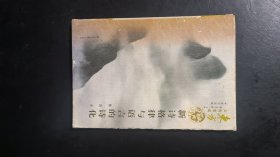 新诗格律与语言的诗化