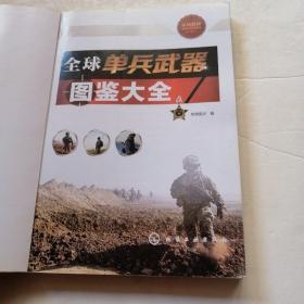 全球单兵武器图鉴大全（品相如图）