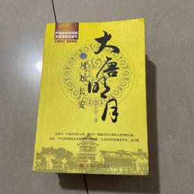 大唐明月4·碧血黄沙1一4册