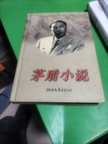 茅盾小说