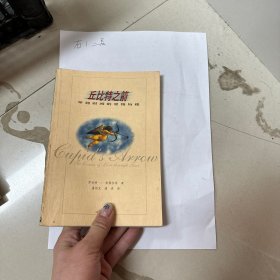 丘比特之箭：穿越时间的爱情历程