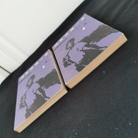 杨布拉德一家（一套）