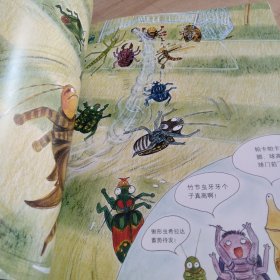虫虫杯足球大赛