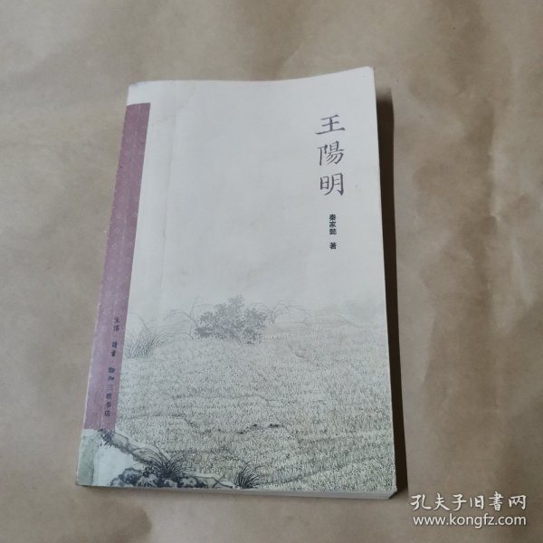 王阳明