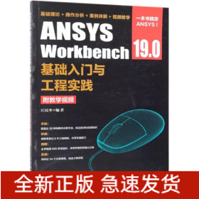 ANSYS WORKBENCH 19.0基础入门与工程实践(附教学视频)