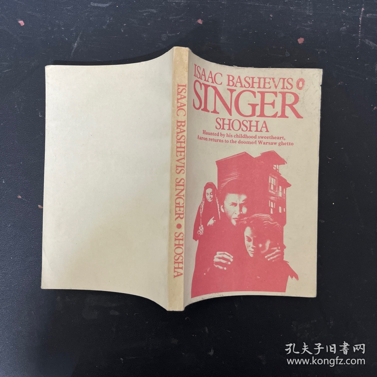 Shosha by Isaac Bashevis Singer：艾萨克·巴什维斯·辛格 《舒莎》 英文原版