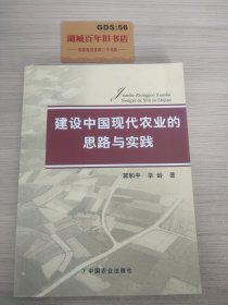 建设中国现代化农业的思路与实践