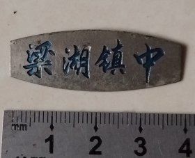 （绍兴上虞）梁湖镇中校徽
