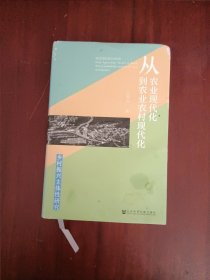 从农业现代化到农业农村现代化(乡村振兴主体性研究)(精)