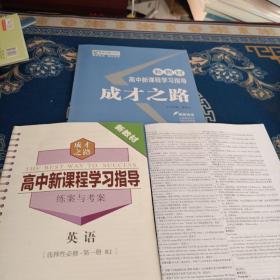 高中新课程学习指导成才之路英语选择性必修第一册人教版