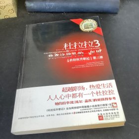 杜拉拉3：我在这战斗的一年里