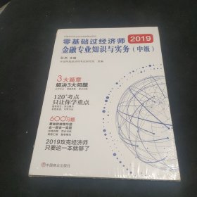 中级经济师2019教材中级经济师教材配套辅导环球网校零基础过经济师：金融专业知识与实务（中级）