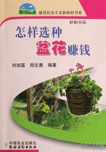 怎样选种盆花赚钱(种植业篇)/建设社会主义新农村书系