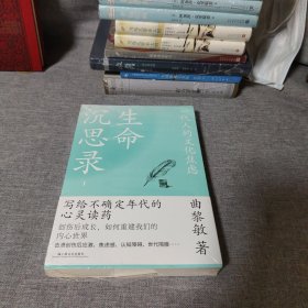 生命沉思录 ：一代人的文化焦虑