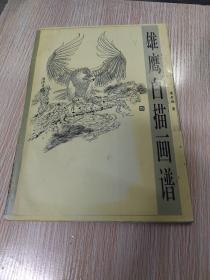 雄鹰白描画谱