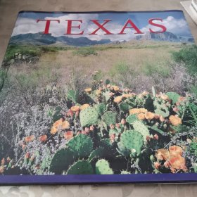 TEXAS（得克萨斯）