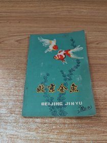 北京金鱼