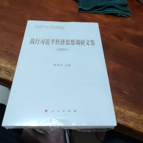 践行习近平经济思想调研文集（2022）（学思践悟习近平经济思想丛书）