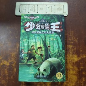 少年冒险王：雅安密林之功夫熊猫