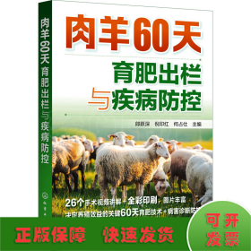 肉羊60天育肥出栏与疾病防控