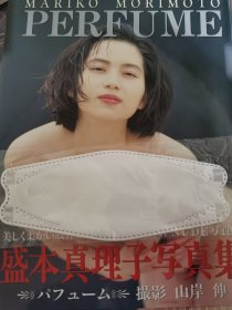 盛本真理子写真集PERFUME