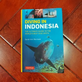 Diving in Indonesia印尼潜水