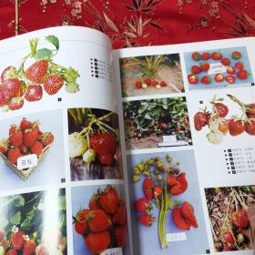 中国果树志系列（2）：中国果树志 草莓卷（中国草莓志） 郑明琴、雷家军主编 中国林业出版社2005年5月一版一印＜31.8＞ 印数：2000册