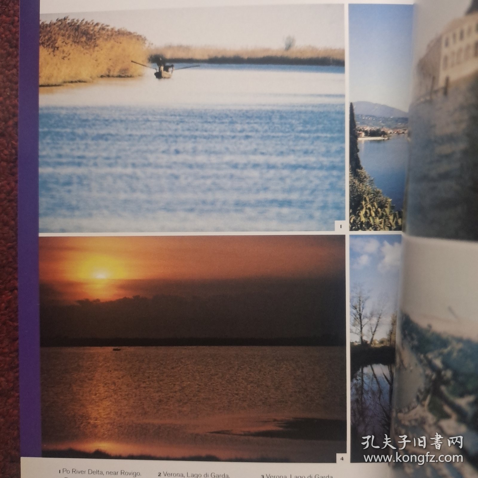 Metamorph 9. International Architecture Exhibition Vectors超多插图