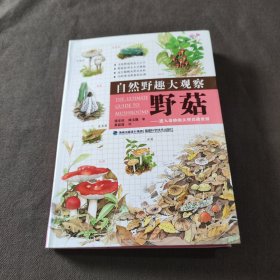 自然野趣大观察·野菇