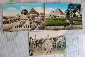 埃及金字塔明信片三张（五、六十年代）