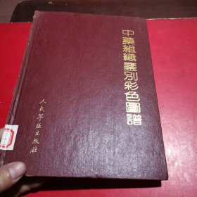 中药组织鉴别彩色图谱